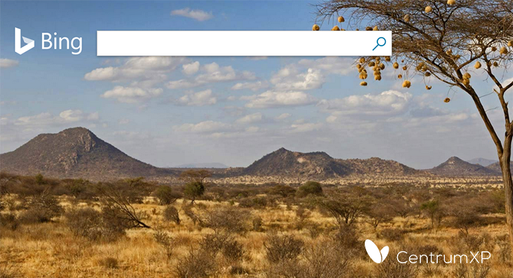 Pole wyszukiwania w Bing upiększają przepiękne krajobrazy