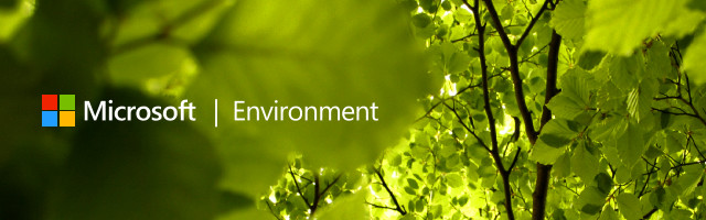 Microsoft Environment