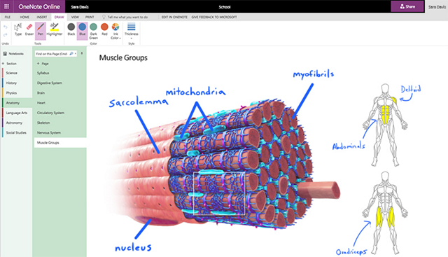 Rysowanie w OneNote Online