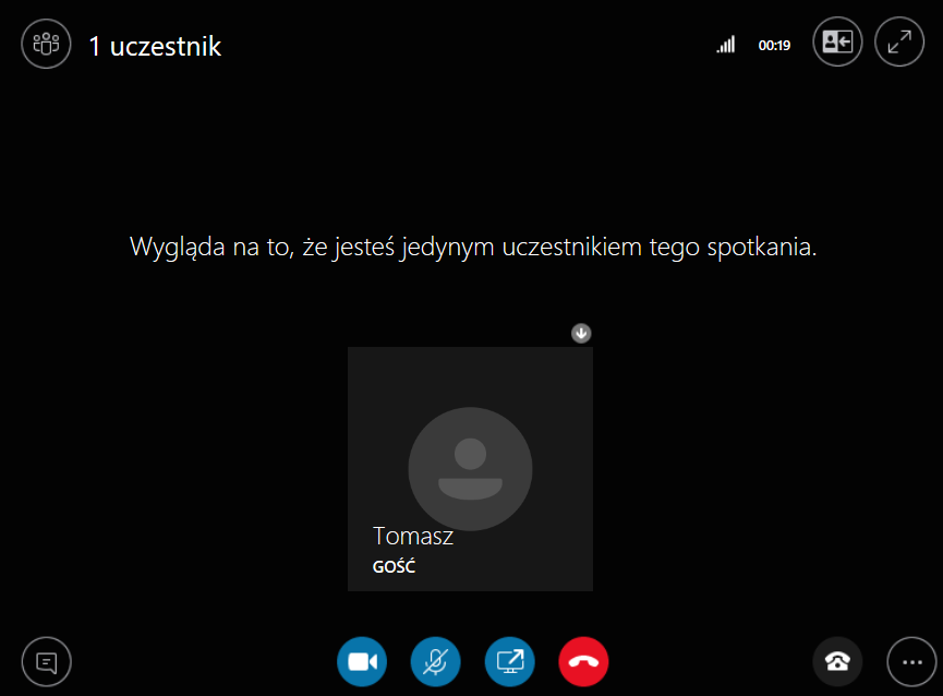 Ekran rozmowy w spotkaniu Skype