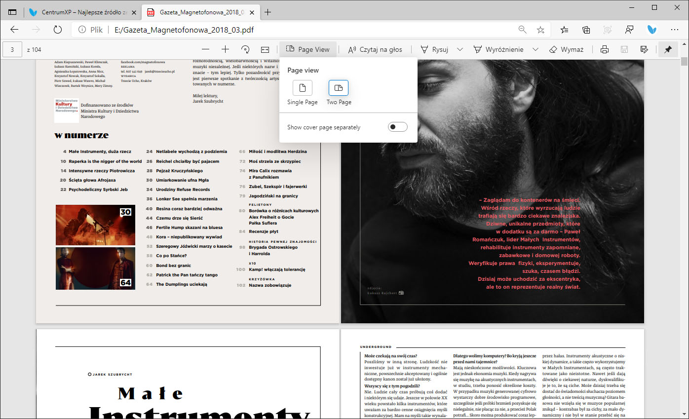 Widok dwóch stron w przeglądarce PDF