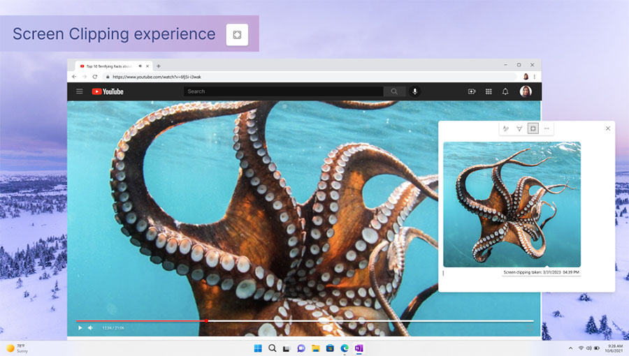 OneNote na Windows