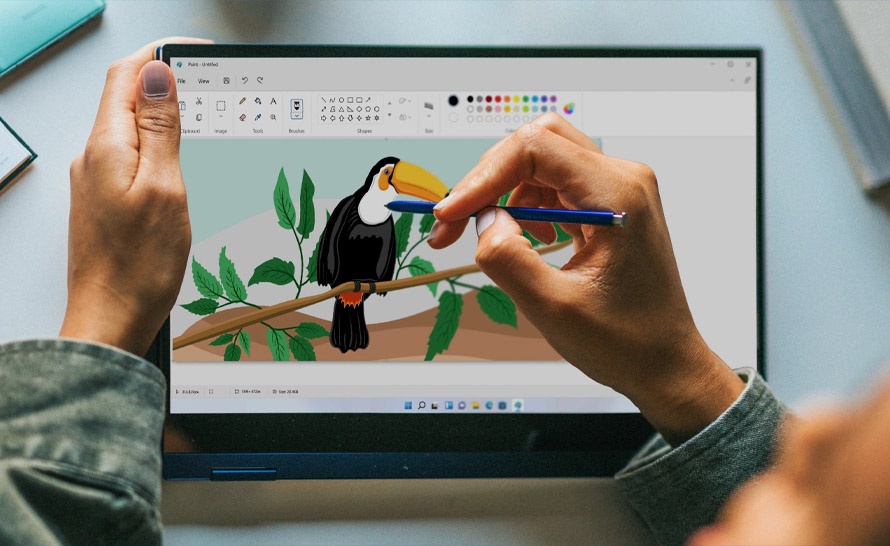 Paint