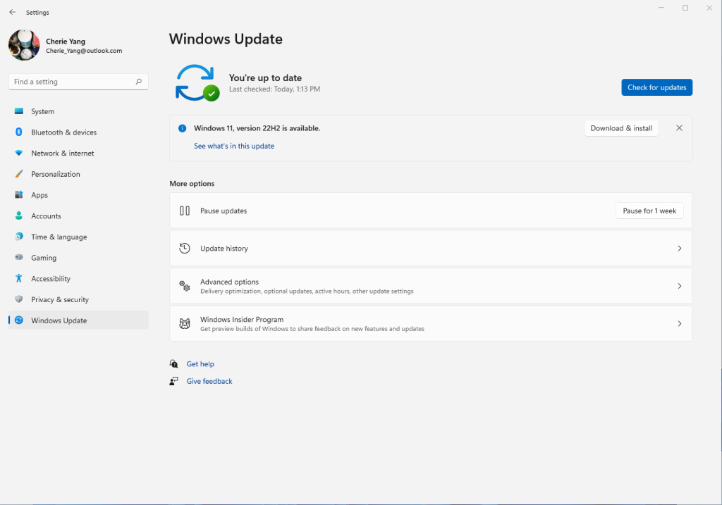 Windows 11 22H2 w Windows Update z Windows 11