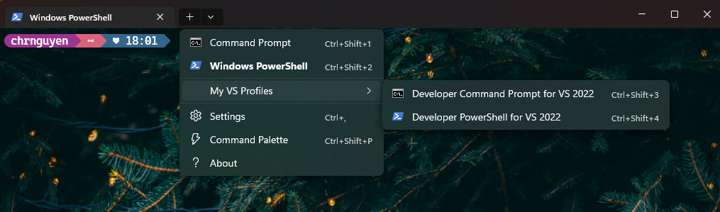 Windows Terminal Preview 1.17