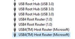 USB4 Host Router