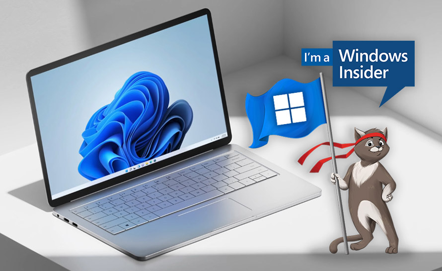 Windows 11 bez nowych kompilacji Insider Preview w tym tygodniu