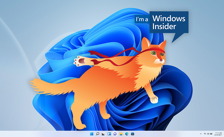 Sporo ulepszeń i poprawek w Windows 11 Insider Preview (build 22449)