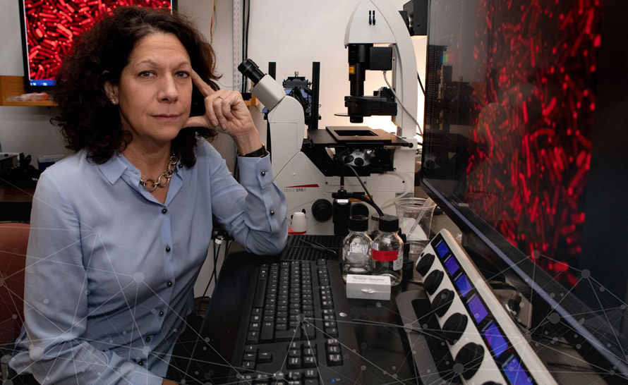 Microsoft pomoże Uniwersytetowi Princeton w badaniach mikrobiologicznych i modelowaniu obliczeniowym