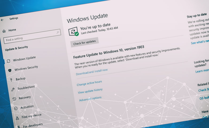 Nowe opcje kontrolowania aktualizacji w Windows 10 May 2019 Update