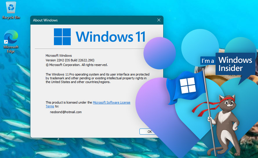 Beta Channel w Windows 11 Insider Preview podzielony na dwie grupy (build 22621.290 i 22622.290)