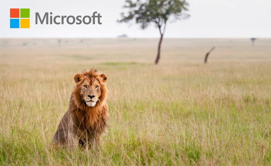 Sztuczna inteligencja Microsoftu pomaga chronić zagrożone gatunki