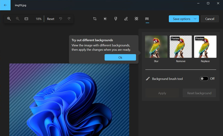 Usuwanie tła w aplikacji Zdjęcia na Windows 11