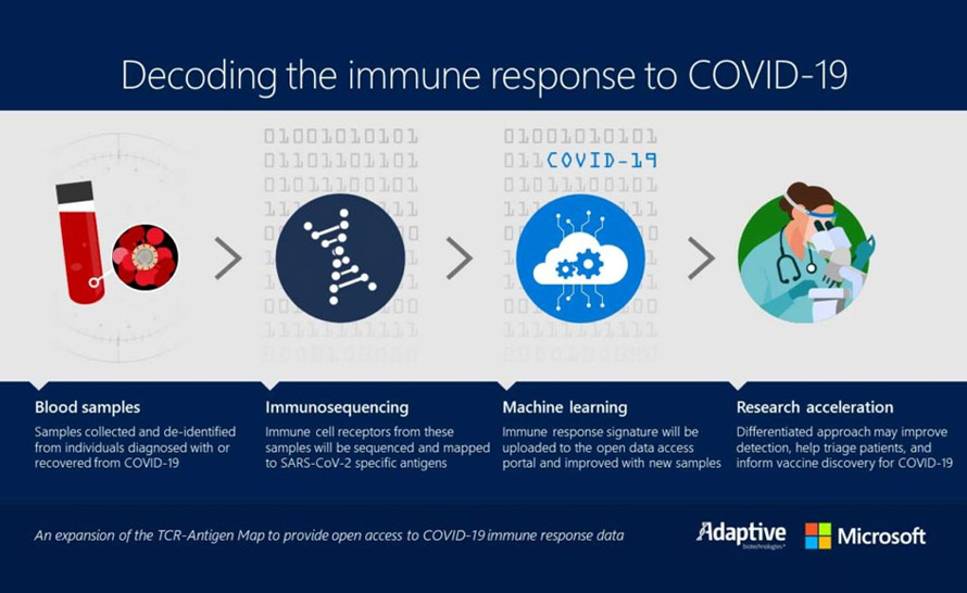 Microsoft przebada osoby, które pokonały koronowirusa, aby znaleźć  odpowiedź immunologiczną