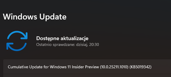 Windows 11 25211.1010