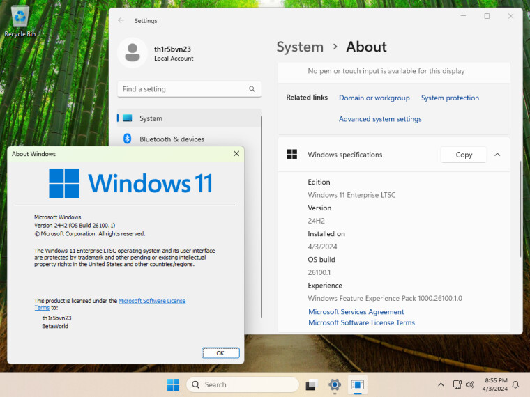 Windows 11 24H2 LTSC (build 26100.1)