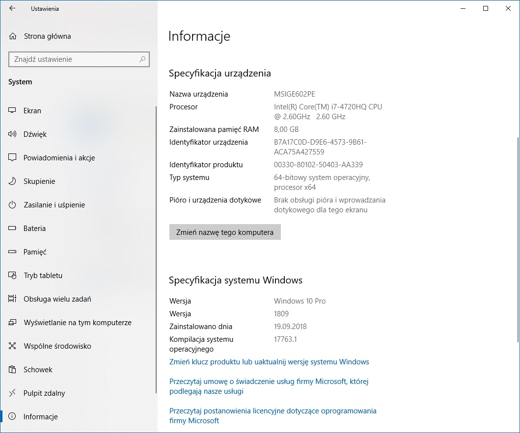 Panel informacji o systemie Windows 10