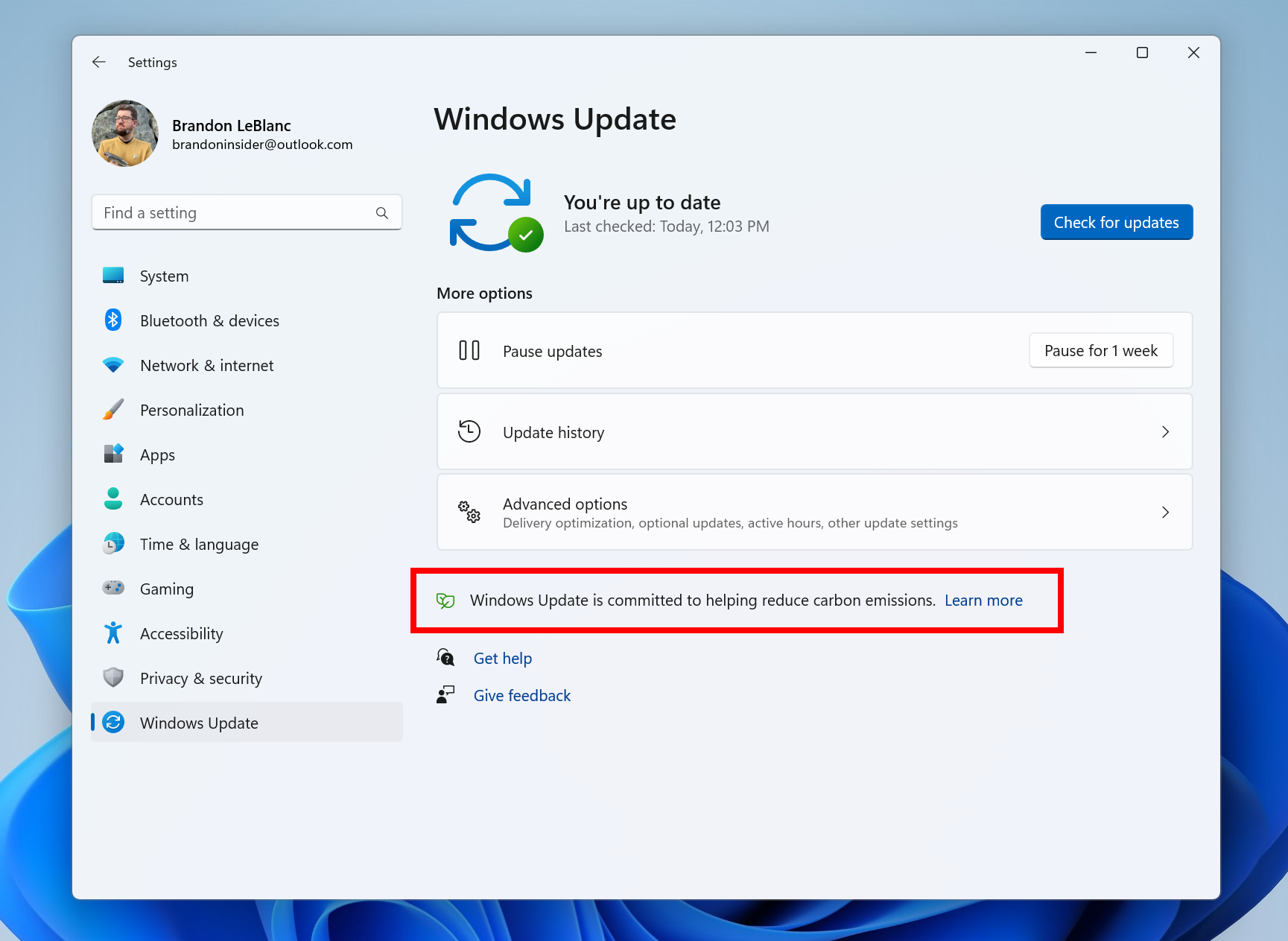 Informacje o koncie Microsoft 365 w Ustawieniach Windows 11