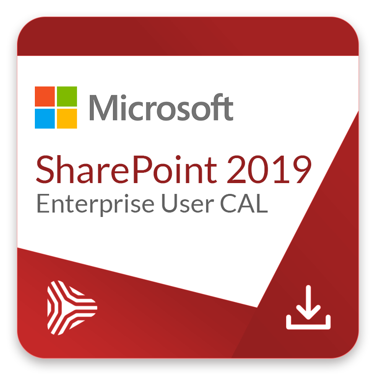 SharePoint Enterprise 2019 User CAL - komercyjna licencja dożywotnia