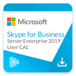 Skype for Business Server Enterprise 2019 User CAL - komercyjna licencja dożywotnia Corporate