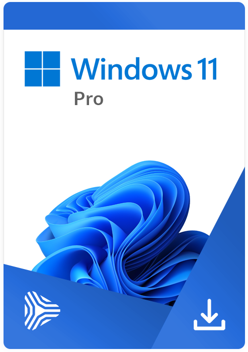 Windows 11 Pro ESD