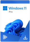Windows 11 Professional ESD licencja dożywotnia