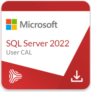 SQL Server 2022 - 1 User CAL- licencja dożywotnia dla org. non-profit
