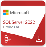 SQL Server 2022 - 1 Device CAL- komercyjna licencja dożywotnia